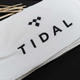 A photo of the Tidal logo on a kerchief
